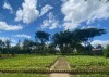 HƯƠNG SẮC HỌC ĐƯỜNG