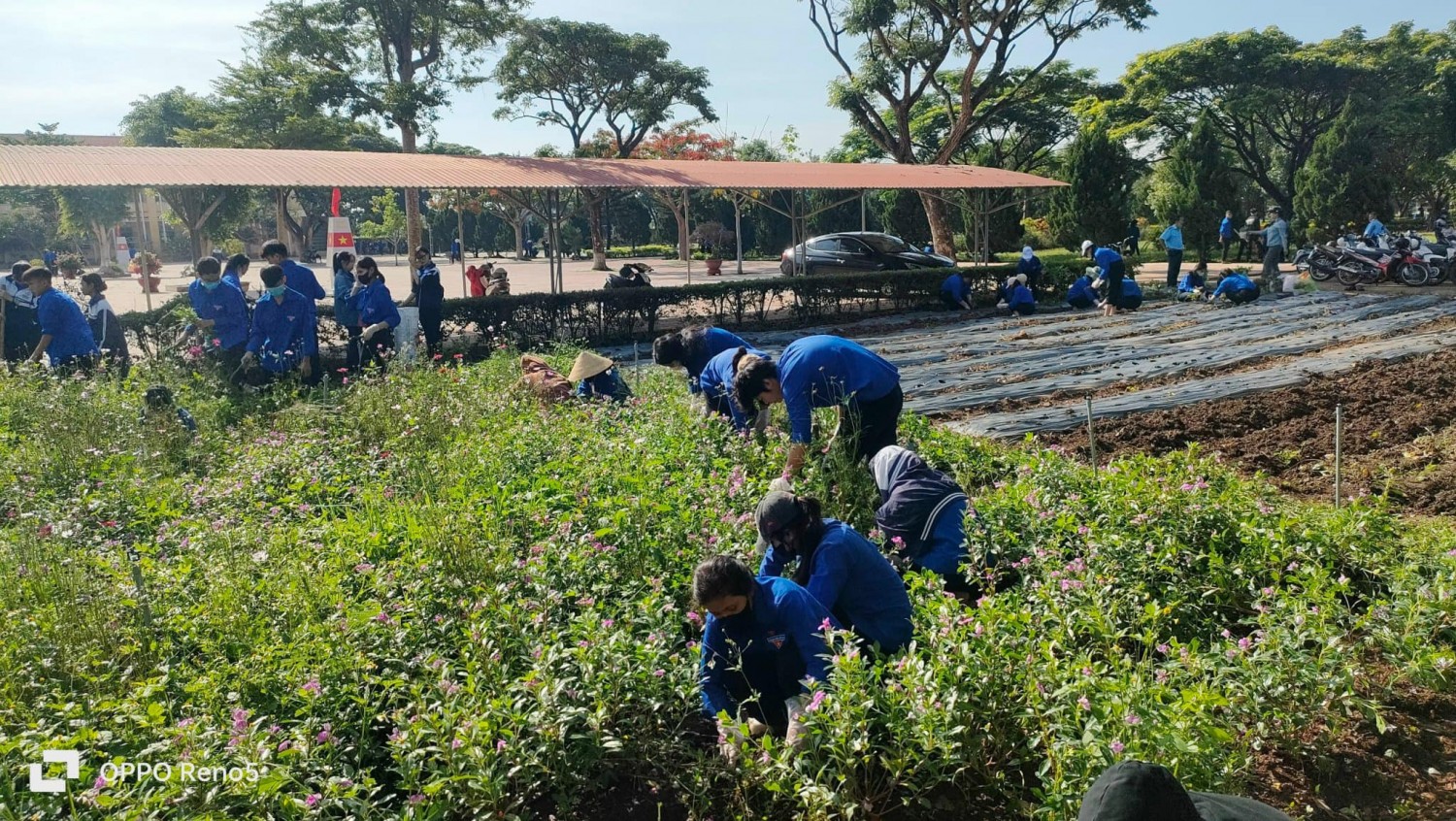 Không có mô tả ảnh.