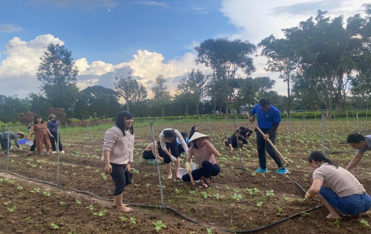A group of people working in a field